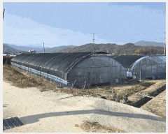  2025Ÿ��503724  ����