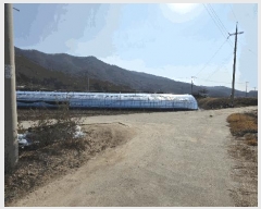  2025Ÿ��503724  ����