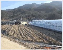  2025Ÿ��503724  ����