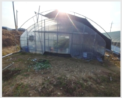  2025Ÿ��503724  ����