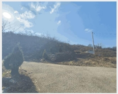  2025Ÿ��503773  �Ӿ߰��