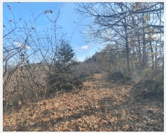  2025Ÿ��503773  �Ӿ߰��