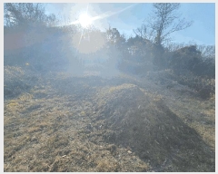  2025Ÿ��503773  �Ӿ߰��