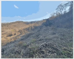  2025Ÿ��503773  �Ӿ߰��