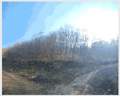  2025Ÿ��503773  �Ӿ߰��