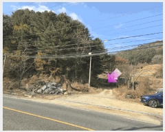  2025Ÿ��503797  �����