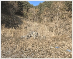  2025Ÿ��503797  �����