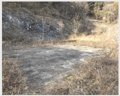  2025Ÿ��503797  �����