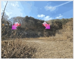  2025Ÿ��503797  �����