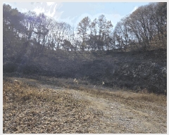  2025Ÿ��503797  �����