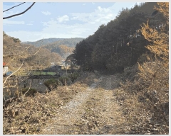  2025Ÿ��503797  �����