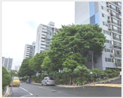  2025Ÿ3166   ھ絿 201 ƾƮ 105 2206ȣ    Ʈ