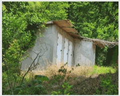  2025Ÿ3534  ߱  433-82       (Ӿ)