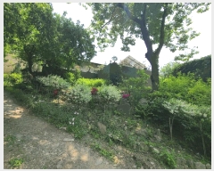  2025Ÿ3534  ߱  433-82       (Ӿ)