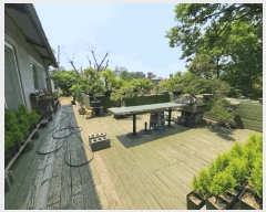  2025Ÿ3534  ߱  433-82       (Ӿ)