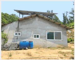  2025Ÿ3534  ߱  433-82       (Ӿ)