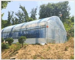  2025Ÿ3534  ߱  433-82       (Ӿ)