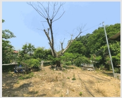  2025Ÿ3534  ߱  433-82       (Ӿ)