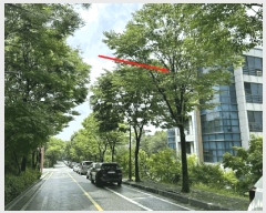  2025Ÿ��3569  �ٸ��󰡰��