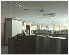  2025Ÿ��3569  �ٸ��󰡰��