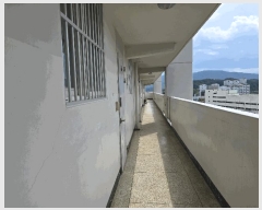  2025Ÿ3583   Ǿϵ 202 ְƮ 201 121206ȣ    Ʈ