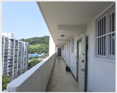  2025Ÿ3583   Ǿϵ 202 ְƮ 201 121206ȣ    Ʈ