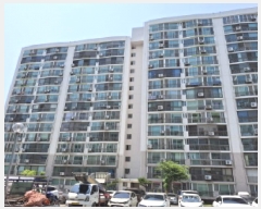  2025Ÿ3583   Ǿϵ 202 ְƮ 201 121206ȣ    Ʈ