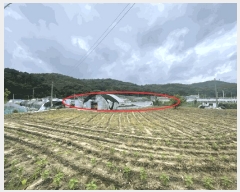  2025Ÿ��3712  �����