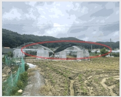  2025Ÿ��3712  �����