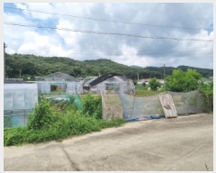  2025Ÿ��3712  �����