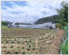  2025Ÿ��3712  �����