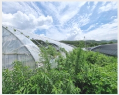  2025Ÿ��3712  �����