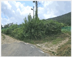  2025Ÿ��3733 ���� ������ ��굿 319-11       ����(��1)���