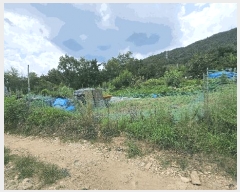  2025Ÿ��3733 ���� ������ ��굿 319-11       ����(��1)���