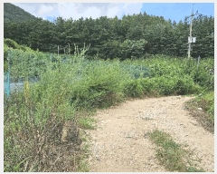  2025Ÿ��3733 ���� ������ ��굿 319-11       ����(��1)���