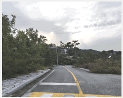  2025Ÿ��3860  �������