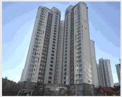  2025Ÿ��4007 ���� ������ ��굿 749 ���ϸ��������Ƕ����Ʈ 107�� 23��2303ȣ    ����Ʈ���