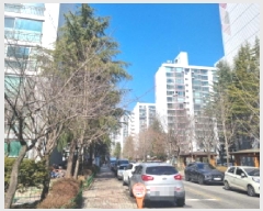  2025Ÿ��501768  ����Ʈ���