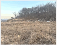  2025Ÿ��501788  �����