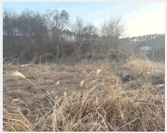  2025Ÿ��501788  �����