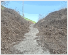  2025Ÿ��501788  �����