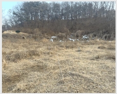  2025Ÿ��501788  �����