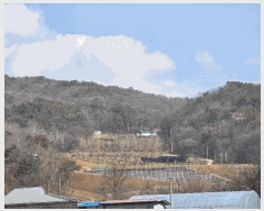  2025Ÿ��501871  �Ӿ߰��