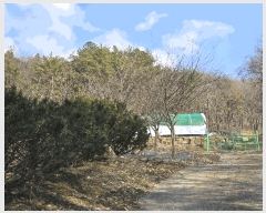  2025Ÿ��501871  �Ӿ߰��