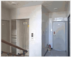  2025Ÿ501917  ߱ ȭ 438-9       ܵ,ð