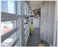  2025Ÿ501917  ߱ ȭ 438-9       ܵ,ð