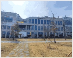  2025Ÿ��502009  �ٸ��󰡰��