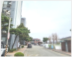  2025Ÿ502138 Ưġ  и 255 ûƮ 101 8801ȣ    Ʈ