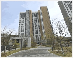  2025Ÿ502242   а 431 а̸ 104 191902ȣ    Ʈ