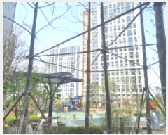  2025Ÿ502242   а 431 а̸ 104 191902ȣ    Ʈ